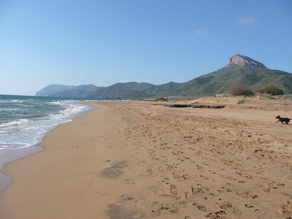 La imagen muestra la playa natural de Calblanque